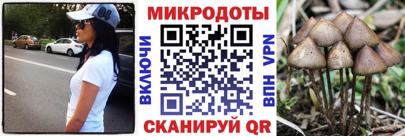 Галлюциногенные грибы Cubensis  купить закладку  Верхняя Тура 